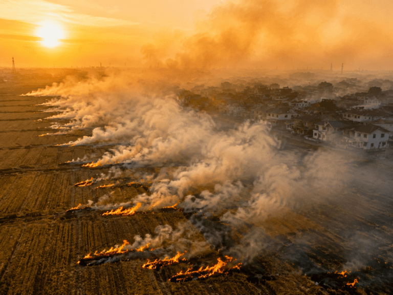 Best Air Filters to Remove Straw Burning Smoke from Your Home
