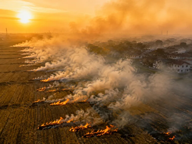 Best Air Filters to Remove Straw Burning Smoke from Your Home