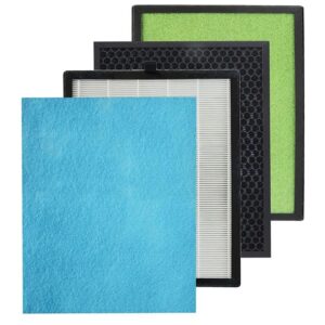 H13 HEPA & Carbon Air Filter Replacement