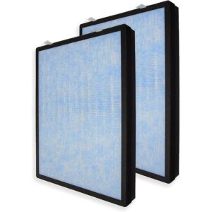 Hathaspace HSP002 HEPA Filter for Car, Hotel & Commercial Use