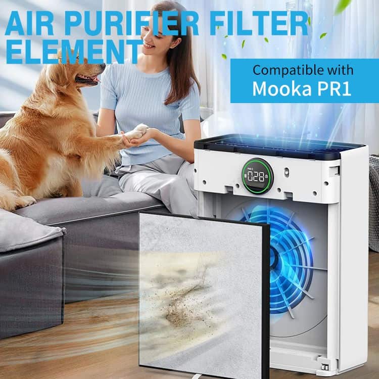 Hifine PR1 HEPA Air Filter for Car and Home