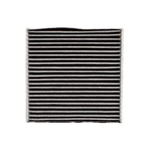 Plus EV Car Activated Carbon Air Filter