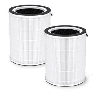 True HEPA Filter for Air Purifiers - Hifine