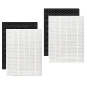 Winix 1712-0093-00 HR900 HEPA & Carbon Filter Replacement